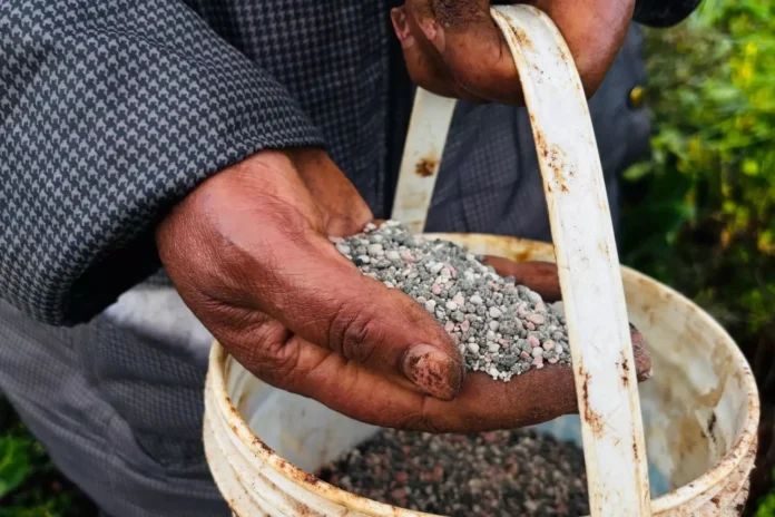 los-precios-de-los-fertilizantes-en-colombia-aumentan-un-52%-a-medida-que-el-cierre-de-ormuz-y-la-prohibicion-de-exportar-a-china-exprimen-la-cadena-alimentaria