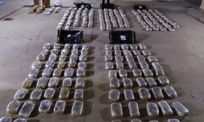oruro:-hallan-mas-de-268-kilos-de-marihuana-en-el-parque-sajama