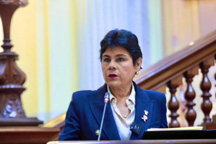 norma-yarrow-advierte-posible-“anforazo”-y-convoca-a-vigilia-frente-al-jne