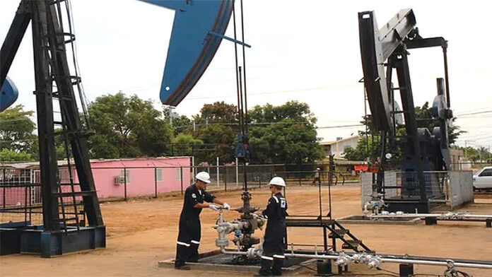 suelopetrol-no-ha-sido-notificada-sobre-participacion-de-chevron-en-petroindependencia