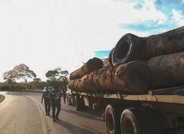 la-abt-realiza-el-decomiso-de-madera-ilegal-en-concepcion