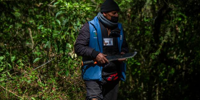 en-mexico,-199-defensores-del-medio-ambiente-fueron-asesinados-en-diez-anos
