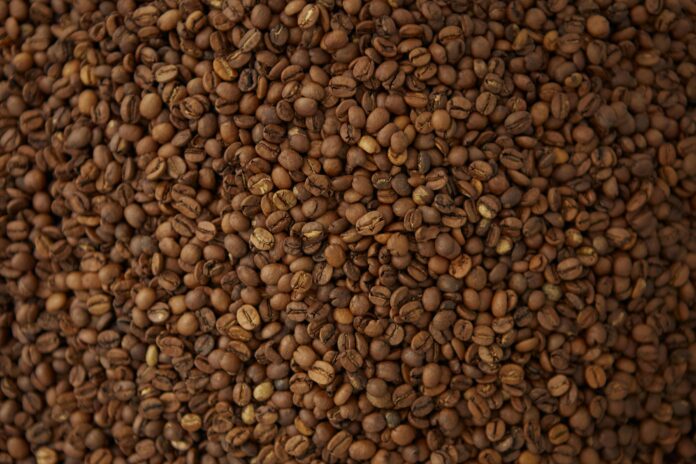 ue-presenta-nuevo-reglamento-para-importacion-de-cafe-y-cacao-a-productores-venezolanos