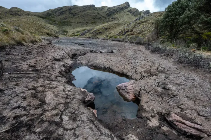 el-riesgo-silencioso-de-america-latina-para-2026:-el-regreso-de-el-nino