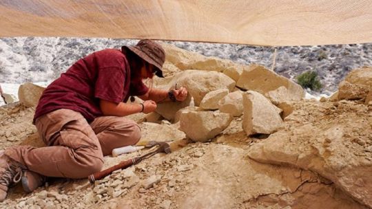 cientificos-argentinos-hallan-restos-fosiles-de-una-milenaria-especie-de-reptil-en-la-patagonia