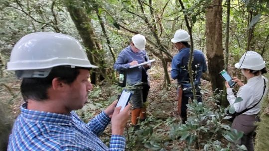 ¿como-es-el-ambicioso-plan-para-restaurar-el-corredor-biologico-de-la-selva-misionera?