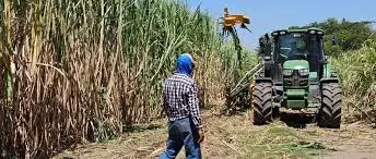 caneros-advierten-riesgos-en-el-inicio-de-zafra-por-falta-de-diesel