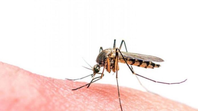 oms-aprueba-primer-tratamiento-contra-la-malaria-para-lactantes