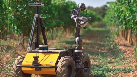 un-cientifico-argentino-diseno-un-robot-para-detectar-enfermedades-en-arboles-en-segundos