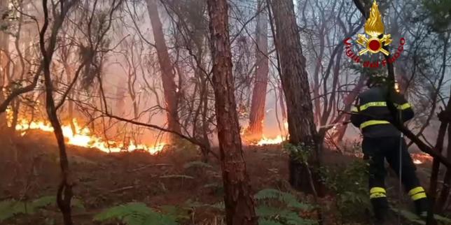 en-italia,-un-importante-incendio-en-toscana-provoco-la-evacuacion-de-3500-personas.
