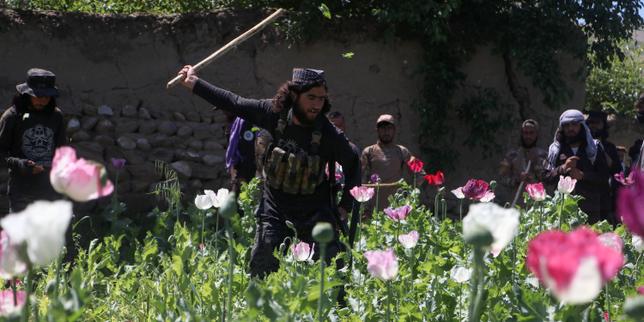 «-en-afganistan-como-los-ailleurs,-les-histoires-de-drogue-sont-aussi-des-histoires-de-pouvoir-et-de-societe-»