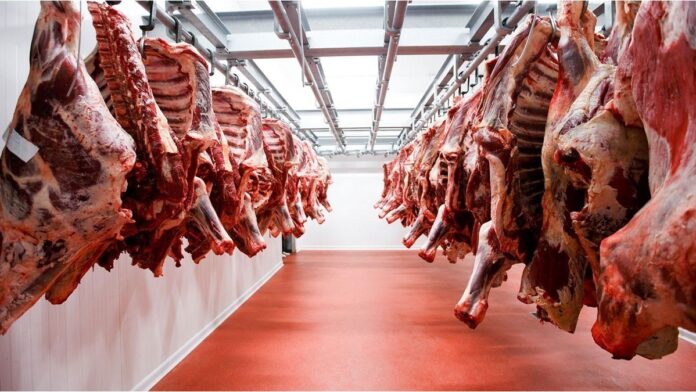 el-precio-de-exportacion-de-la-carne-alcanzo-en-el-primer-trimestre-un-record-historico