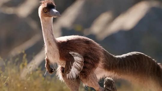 cientificos-argentinos-descubren-un-gigantesco-dinosaurio-con-forma-de-ave