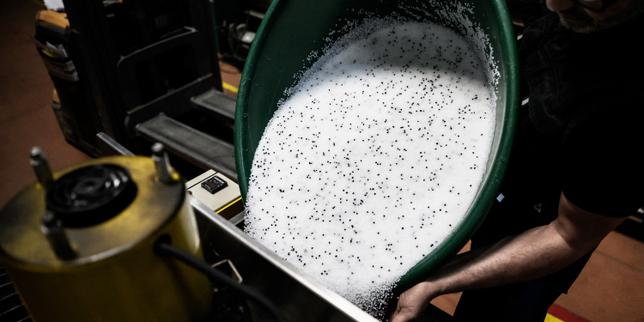 dans-l’ain,-la-«vallee-du-plastico»-voit-les-prix-augmenter-et-son-approvisionnement-se-compliquer-avec-le-conflit-au-moyen-orient