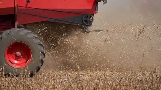 argentina-lucha-por-salvar-enormes-exportaciones-de-soja-tras-rechazo-holandes