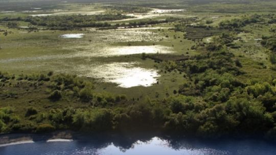 sancionaron-la-ampliacion-del-parque-nacional-esteros-de-farrapos-e-islas-del-rio-uruguay