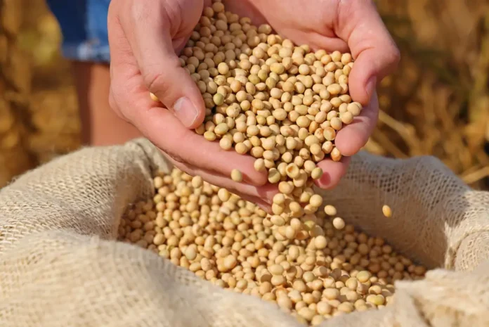 bolivia-aprueba-nueva-soja-transgenica-mientras-las-importaciones-de-pesticidas-se-multiplican-por-cinco