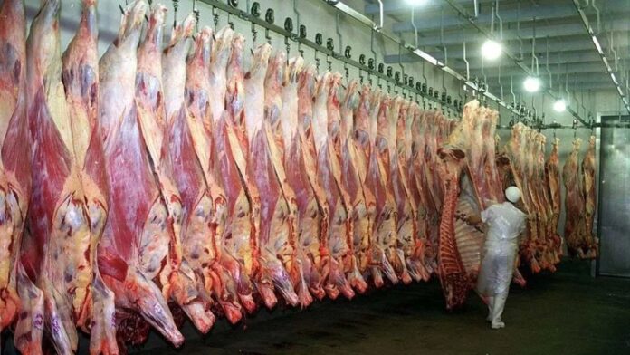 ¿oportunidad-para-la-argentina?:-donald-trump-analiza-bajar-aranceles-para-importar-carne-y-contener-los-precios-en-eeuu