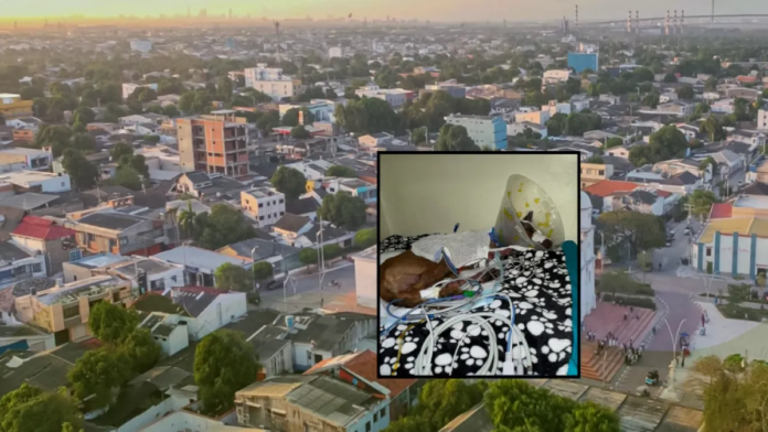 barranquilla:-buscan-a-responsables-de-quemar-con-quimicos-a-un-perrito:-la-policia-y-la-fiscalia-investigan-el-ataque