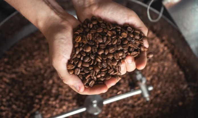 el-agronegocio-de-sao-paulo-alcanza-r$-174,6-mil-millones-como-lider-en-carne-vacuna-y-cafe