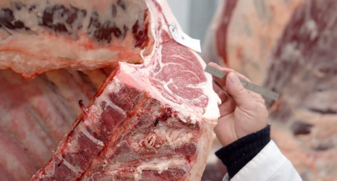 la-ue-prohibe-la-carne-vacuna-y-los-productos-animales-brasilenos-a-partir-del-3-de-septiembre-por-falta-de-cumplimiento-con-los-antibioticos
