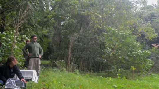 el-bioparque-de-la-plata-reinserto-en-su-habitat-a-tres-aves-rapaces-rescatadas-de-la-calle