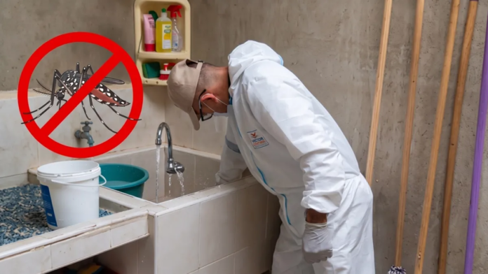 asi-funciona-la-pintura-repelente:-la-ingeniosa-estrategia-tecnologica-que-reduce-un-92-%-los-casos-de-dengue-en-vijes,-valle-del-cauca