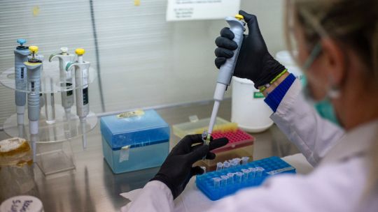 la-organizacion-mundial-de-la-salud-confirma-ocho-casos-de-hantavirus-de-los-andes-en-brote