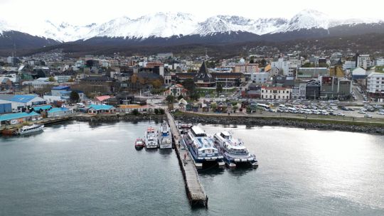 cientificos-se-dirigen-a-ushuaia-para-investigar-el-hantavirus