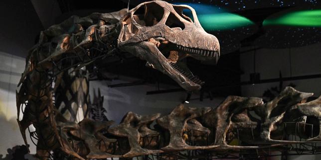 plus-grand-et-plus-lourd-qu’un-diplodocus:-descubre-que-se-parece-al-nagatitan,-el-nuevo-dinosaurio-gigantesco-identificado-por-los-chercheurs