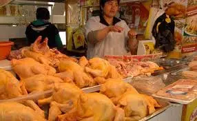 productores-venden-pollos-por-debajo-de-los-costos-de-produccion.