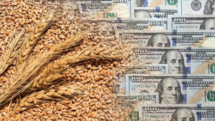 agrodolares:-el-campo-proyecta-un-ingreso-de-mas-de-u$s36.000-millones-en-2026-por-exportaciones