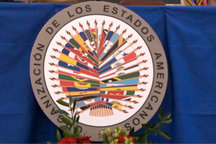 elecciones-2026:-oea-exhorta-a-evitar-amenazas-y-discursos-de-division-rumbo-a-la-segunda-vuelta