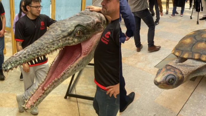 ecos-de-gigantes-llega-al-caribe:-la-exposicion-de-fosiles-de-la-titanoboa-y-encuentra-ineditos-de-las-minas-la-guajira-estara-en-varias-ciudades