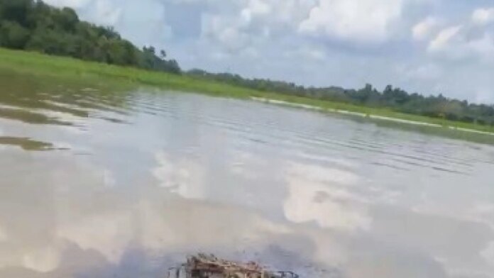 grandes-manchas-de-crudo-aparecen-en-la-cienaga-de-el-llanito,-en-barrancabermeja:-autoridades-senalan-que-es-una-amenaza-con-mas-muertes-en-manaties
