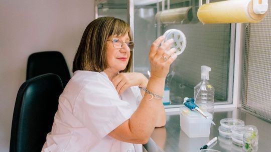 cientifica-argentina-gana-premio-mundial-por-su-trabajo-sobre-cultivos-‘resistentes-a-la-sequia’