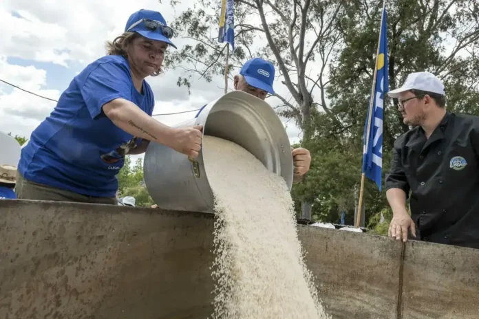 uruguay-gana-el-63%-de-la-cuota-de-arroz-del-mercosur-a-europa-para-2026