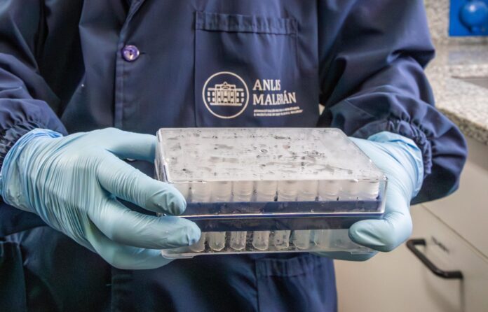 operativo-en-ushuaia-termina-sin-capturas-del-roedor-asociado-al-hantavirus