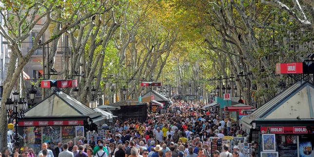 a-barcelona,-​​le-regne-des-platanes-touche-a-sa-fin