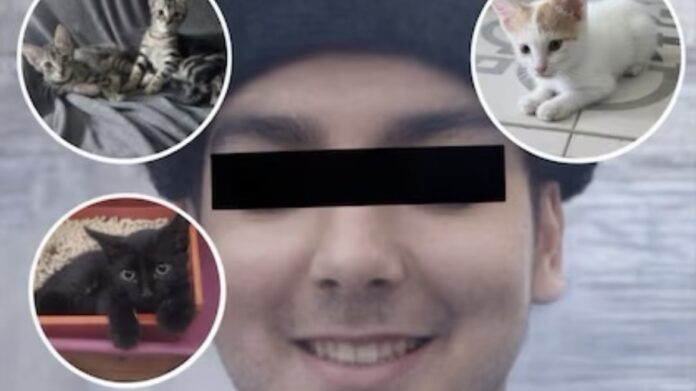 “asesino-serial-de-gatitos”:-acusan-a-un-macabro-chef-de-recoleta