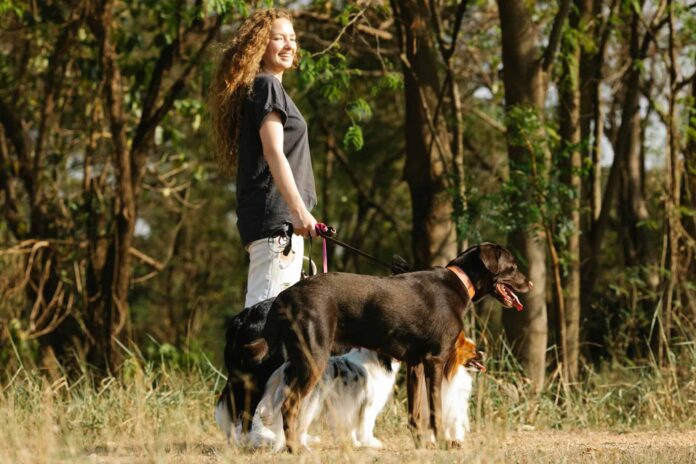 traer-a-su-mascota-a-brasil:-la-guia-mapa-completa-para-expatriados