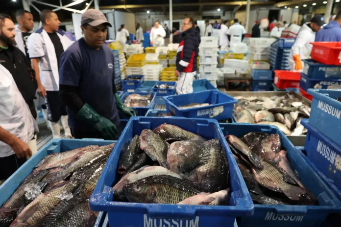 brasil-quiere-volver-a-vender-pescado-a-europa,-pero-se-topa-con-un-nuevo-obstaculo