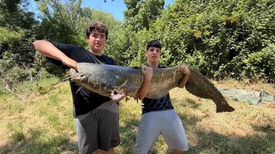 pesca-record:-un-adolescente-logro-sacar-del-ebro-un-siluro-gigante