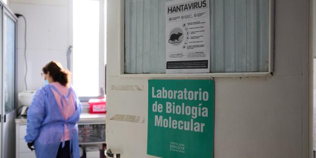 hantavirus:-el-recalentamiento-climatico-sospechoso-de-haber-contribuido-a-la-reciente-casa-de-casos-en-argentina
