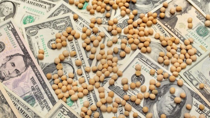 el-agro-pierde-peso-en-las-exportaciones:-marcan-posibles-impactos-en-impuestos,-produccion-y-poder-politico