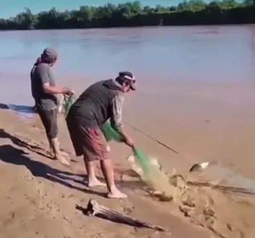 puerto-pailas:-pescadores-se-sorprenden-con-afluencia-de-peces