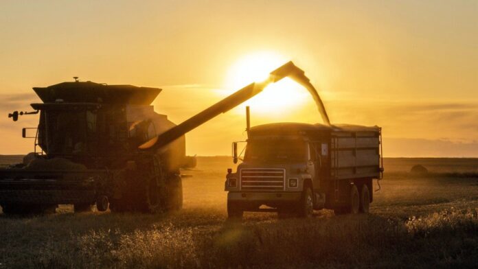 argentina-se-consolida-como-tercer-mayor-exportador-del-agro,-con-el-impulso-de-tres-cultivos
