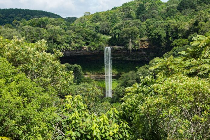 paraguay-obtiene-una-nueva-reserva-de-la-biosfera-de-la-unesco-mientras-alberga-conversaciones