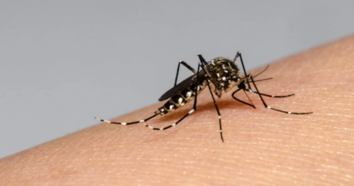 brasil-suspende-vacuna-contra-el-dengue-tras-2-muertes-y-42-casos-graves