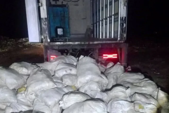 detectan-8-toneladas-de-pollo-fregado-que-iba-a-la-paz